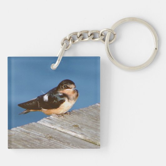 Barn Swallow acrylkey chian Sleutelhanger (Achterkant)