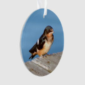 Barn Swallow acrylornament Ornament (voorkant)