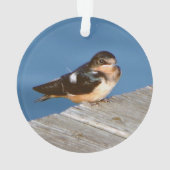 Barn Swallow acrylornament Ornament (achterkant)