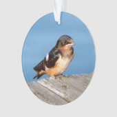 Barn Swallow acrylornament Ornament (voorkant)