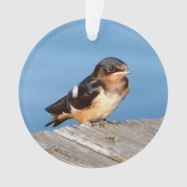 Barn Swallow acrylornament Ornament