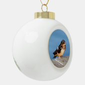 Barn Swallow ball- of sneeuwflake-versiering Keramische Bal Ornament (Links)