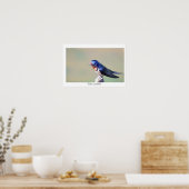 Barn Swallow Bird Photo Poster (Keuken)