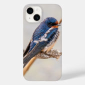 Barn Swallow Blue Bird Fotografie, Canadees Case-Mate iPhone Case (Achterkant)