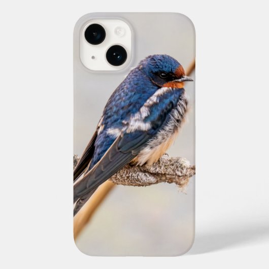 Barn Swallow Blue Bird Fotografie, Canadees Case-Mate iPhone Case (Achterkant)