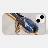 Barn Swallow Blue Bird Fotografie, Canadees Case-Mate iPhone Case (Achterkant (horizontaal))