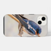 Barn Swallow Blue Bird Fotografie, Canadees iPhone Hoesje (Achterkant horizontaal)