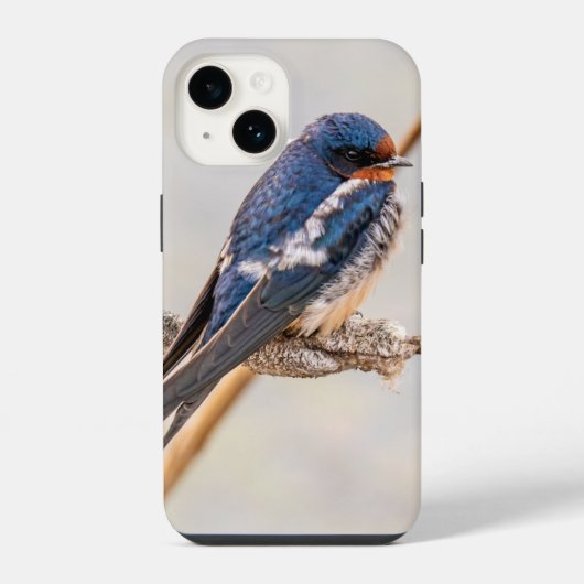 Barn Swallow Blue Bird Fotografie, Canadees iPhone Hoesje (Achterkant)