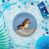 Barn Swallow-bord Papieren Bordje (Feest)