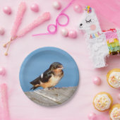 Barn Swallow-bord Papieren Bordje (Feest)