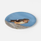 Barn Swallow-bord Papieren Bordje (Gekanteld)