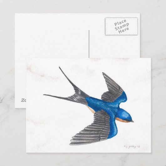 Barn Swallow Briefkaart (Voorkant / Achterkant)
