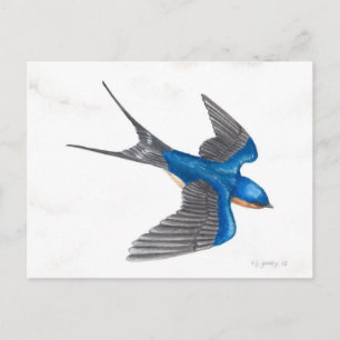 Barn Swallow Briefkaart