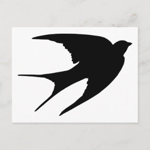 Barn Swallow Briefkaart