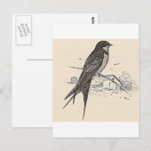Barn Swallow Briefkaart (Voorkant / Achterkant)