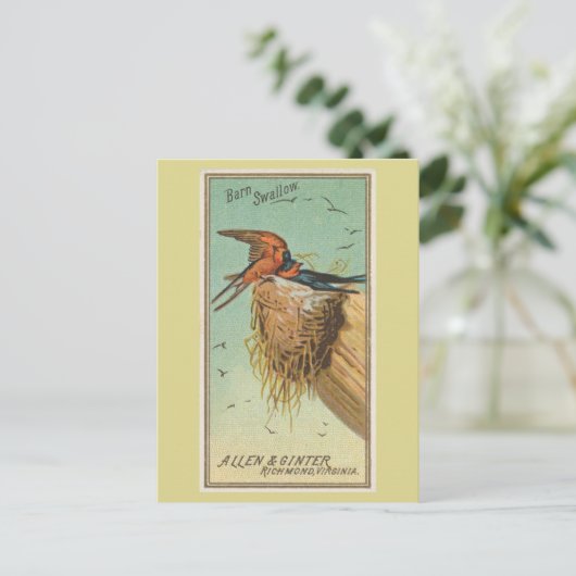 Barn Swallow Briefkaart (Staand voorkant)