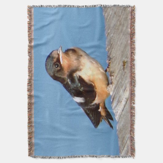 Barn Swallow deken (Voorkant Verticaal)