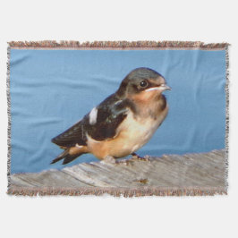 Barn Swallow deken