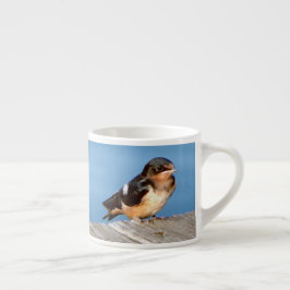 Barn Swallow espresso of jumbo mok