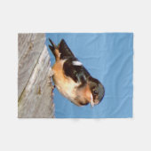 Barn Swallow fleece deken (Voorkant (Horizontaal))