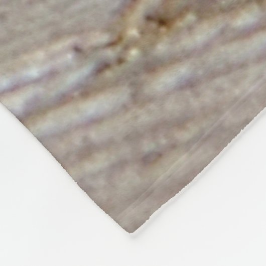 Barn Swallow fleece deken (Hoek)