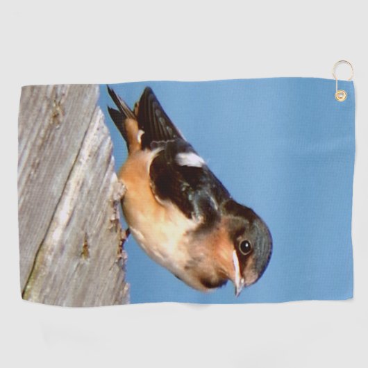 Barn Swallow golfhanddoek (Horizontaal)