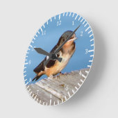 Barn Swallow-klok Ronde Klok (Hoek)