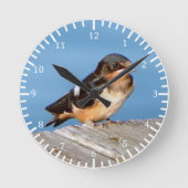 Barn Swallow-klok Ronde Klok (Voorkant)