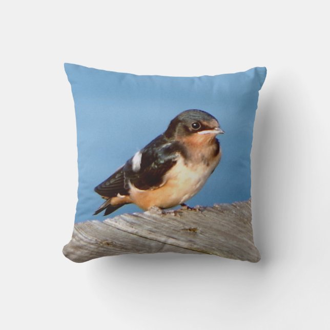 Barn Swallow kussen (Voorkant)