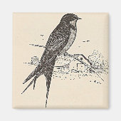 Barn Swallow Magneet (Voorkant)