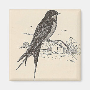 Barn Swallow Magneet