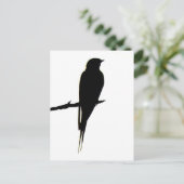 Barn Swallow mannelijk Briefkaart (Staand voorkant)
