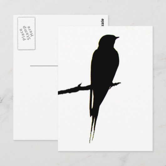 Barn Swallow mannelijk Briefkaart (Voorkant / Achterkant)