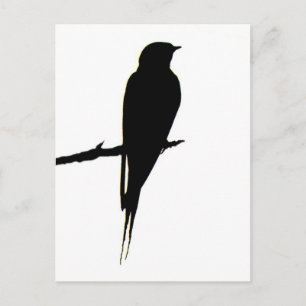 Barn Swallow mannelijk Briefkaart