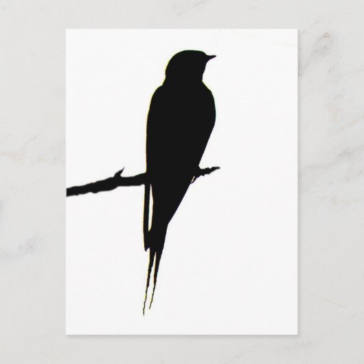 Barn Swallow mannelijk Briefkaart (Voorkant)