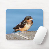 Barn Swallow mousepad Muismat (Met muis)