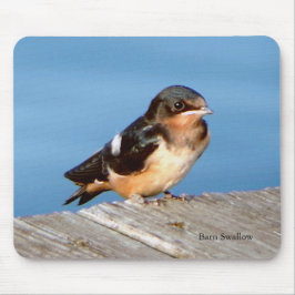Barn Swallow mousepad Muismat