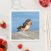 Barn Swallow napkin Servet (Insitu)