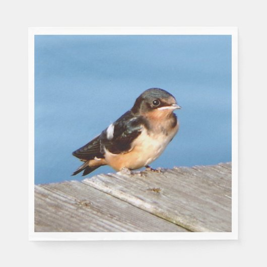 Barn Swallow napkin Servet (Voorkant)