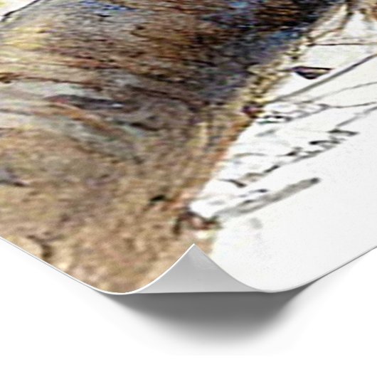 Barn Swallow Nesting op een met bloemen bedekte ta Poster (Hoek)