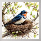 Barn Swallow Nesting op een met bloemen bedekte ta Poster (Voorkant)