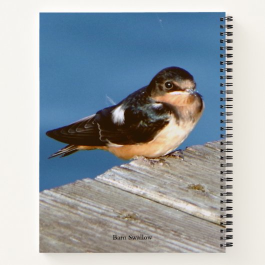 Barn Swallow notitieboek (Achterkant)