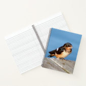 Barn Swallow notitieboek (Binnen)