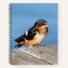Barn Swallow notitieboek