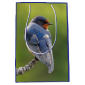 Barn Swallow op een Branch Medium Cadeauzakje (Voorkant)