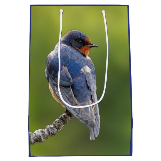 Barn Swallow op een Branch Medium Cadeauzakje (Achterkant)