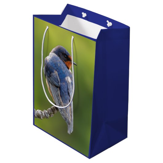 Barn Swallow op een Branch Medium Cadeauzakje (Achterkant Gekanteld)