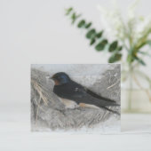 Barn Swallow op Nest DIY Briefkaart (Staand voorkant)