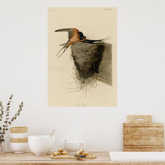 Barn Swallow Poster (Keuken)