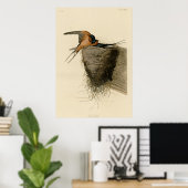 Barn Swallow Poster (Thuiskantoor)